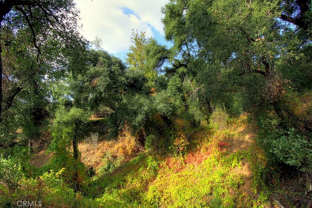 MLS #IG25034145 image #64