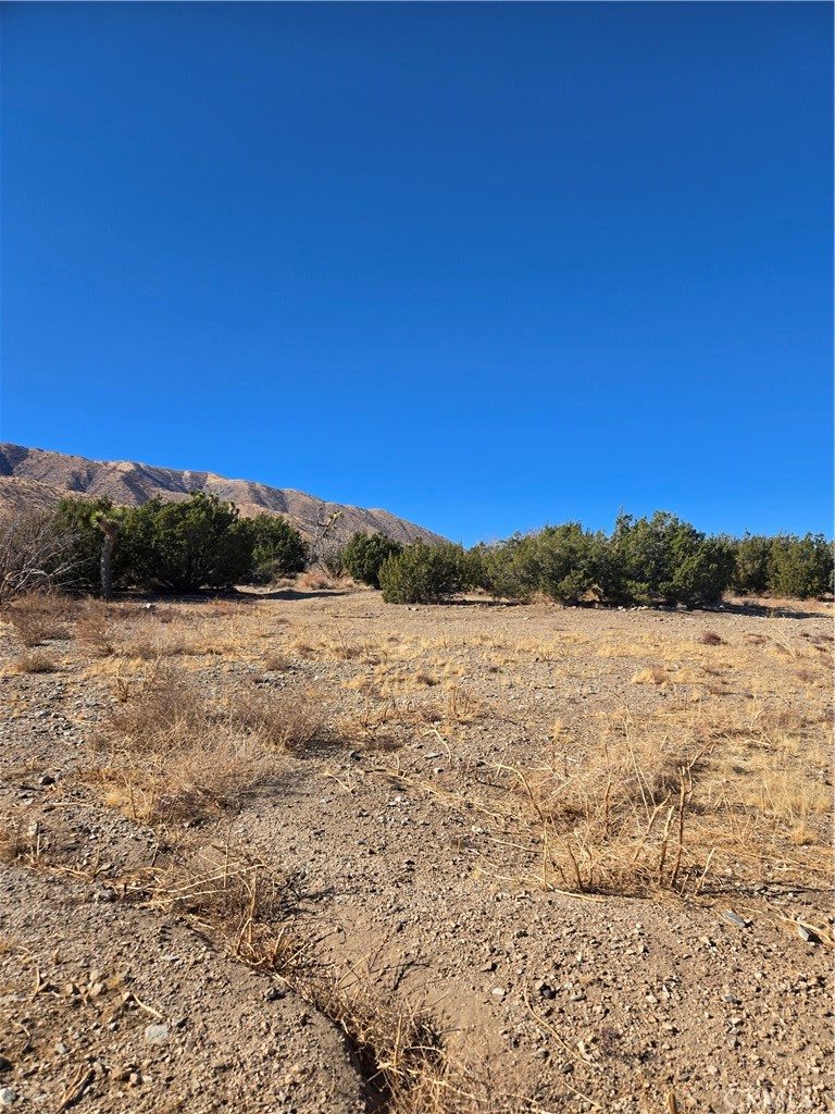 MLS #IG25037440 image #1