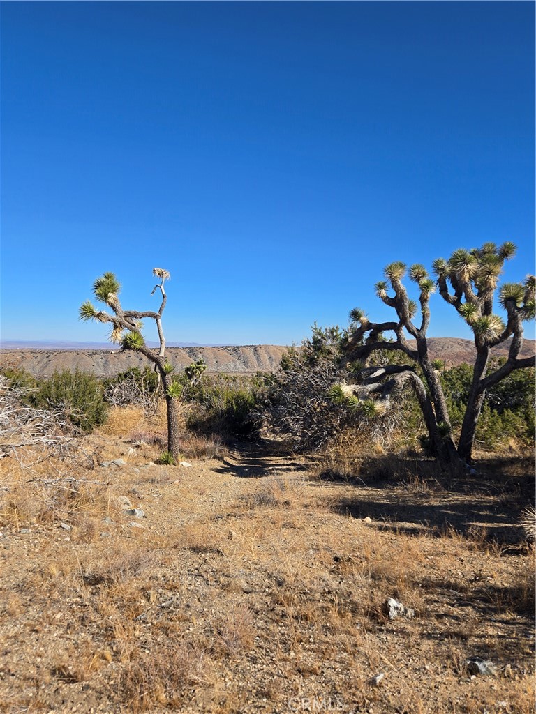 MLS #IG25037440 image #2