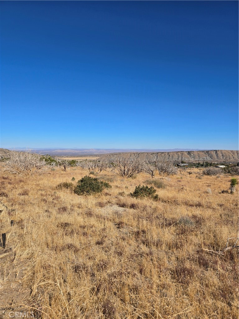 MLS #IG25037440 image #3