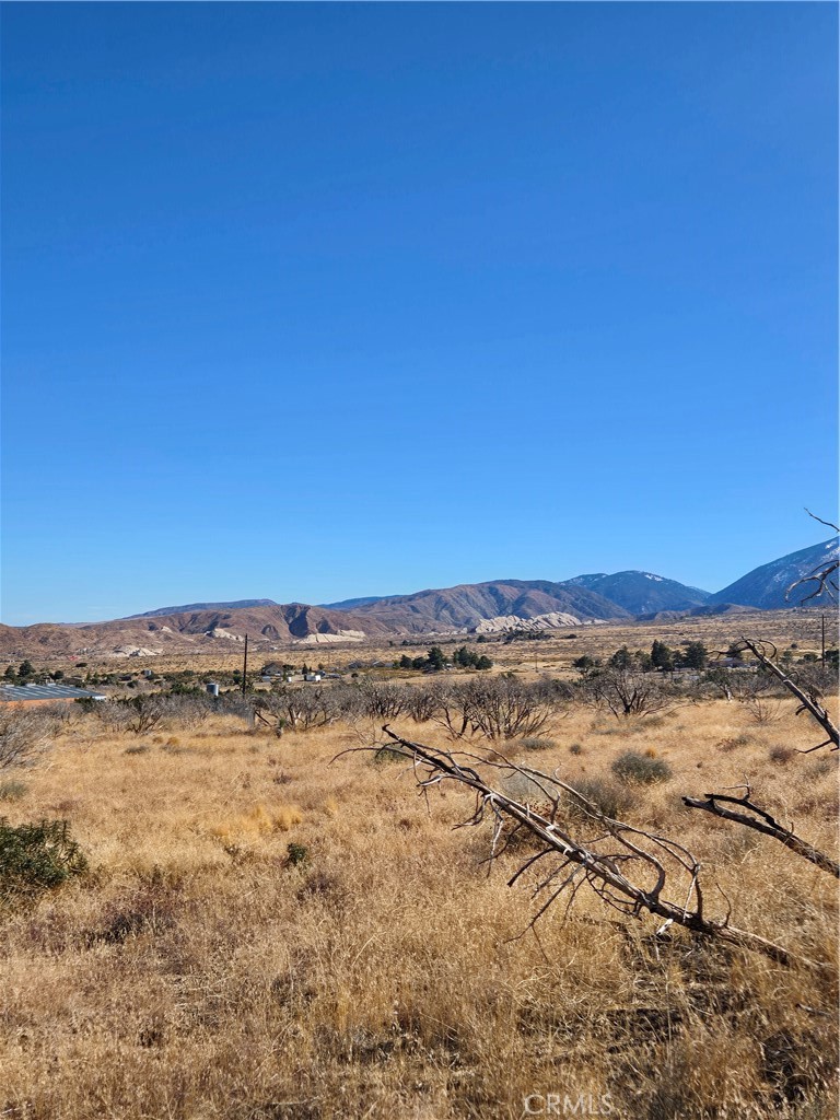 MLS #IG25037440 image #4