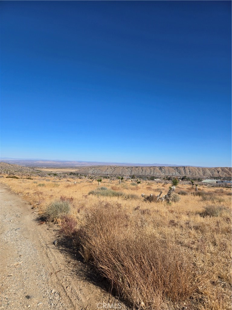 MLS #IG25037440 image #5