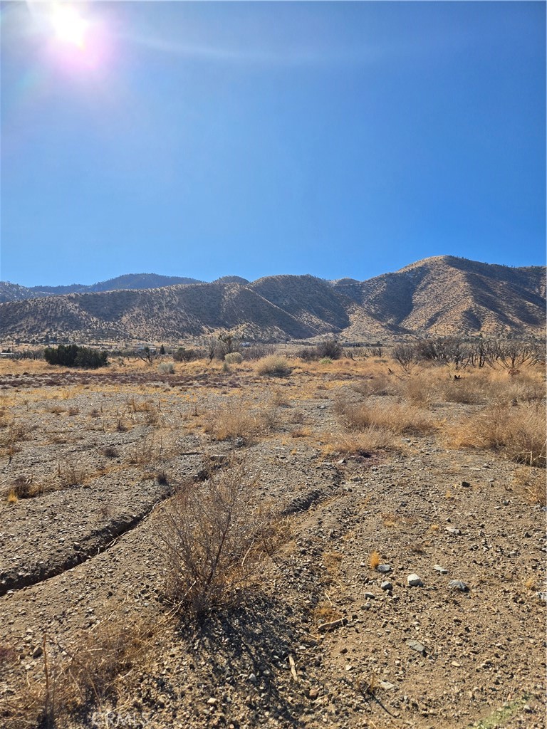 MLS #IG25037440 image #7