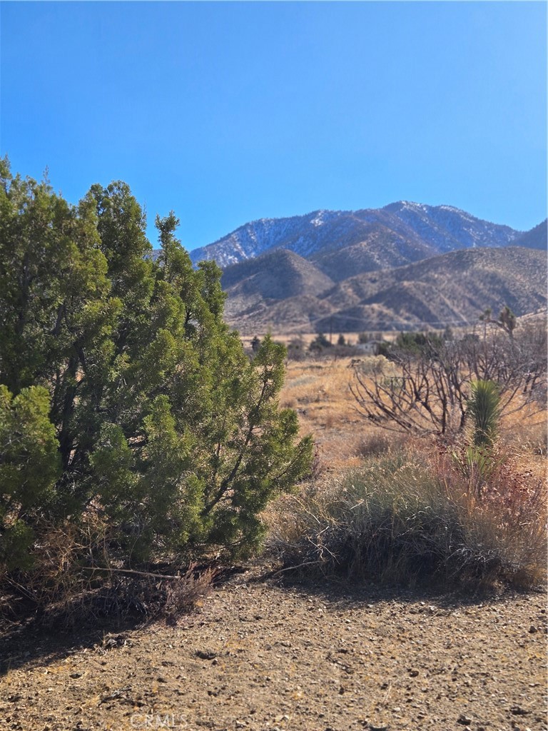 MLS #IG25037440 image #8