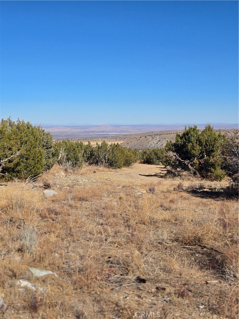 MLS #IG25037440 image #9