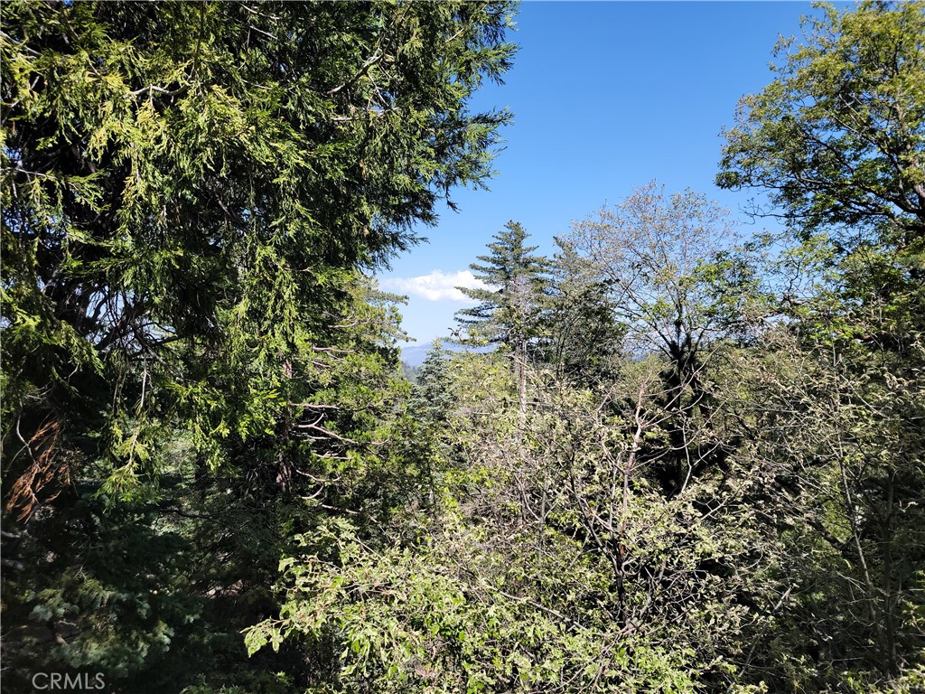 MLS #IG25064402 image #27