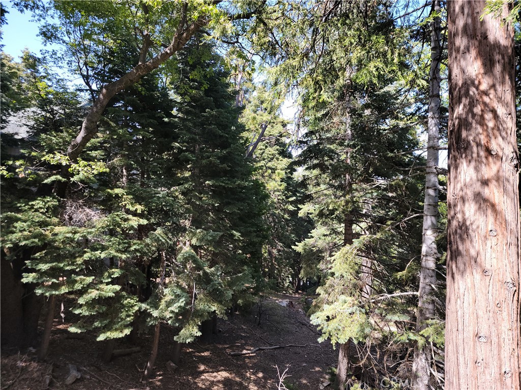 MLS #IG25064402 image #28