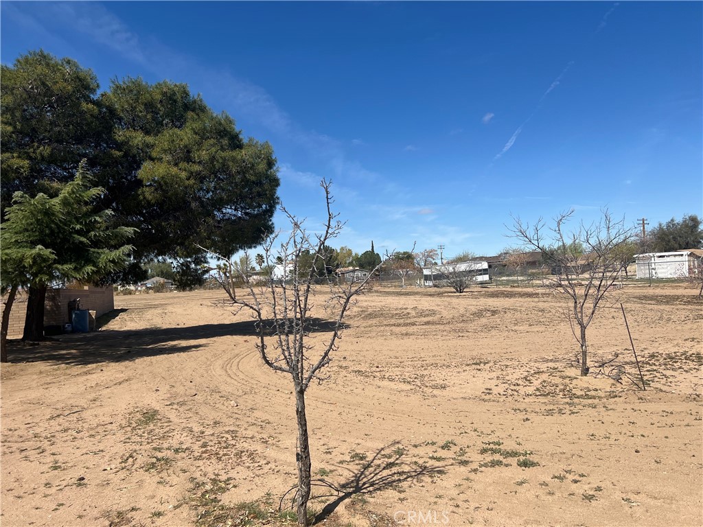 MLS #IG25073447 image #16