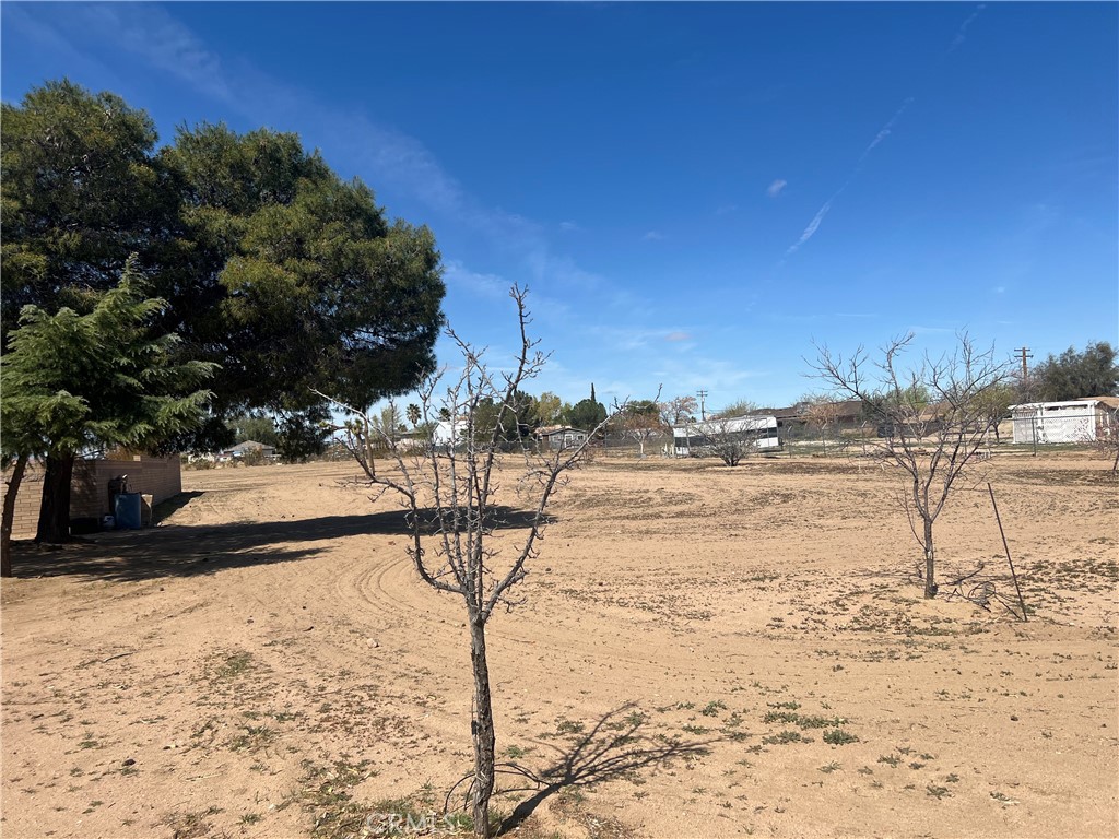 MLS #IG25073447 image #3