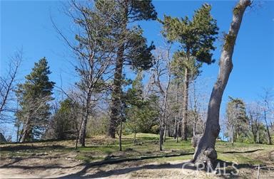 MLS #IG25081270 image #10