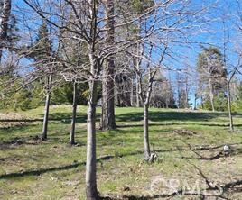 MLS #IG25081270 image #2