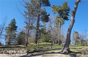 MLS #IG25081270 image #4