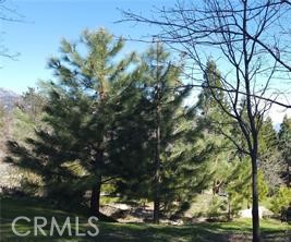 MLS #IG25081270 image #6