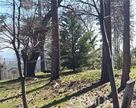 MLS #IG25081270 image #8