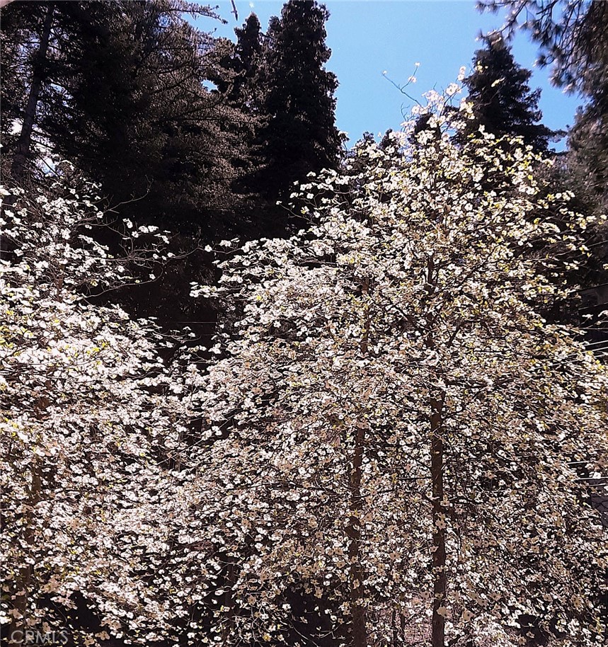 MLS #IG25086344 image #27