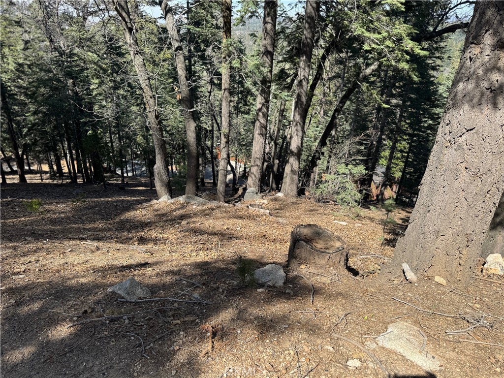 MLS #IG25093880 image #10