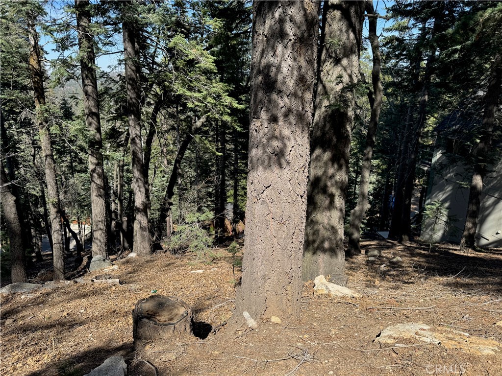 MLS #IG25093880 image #11