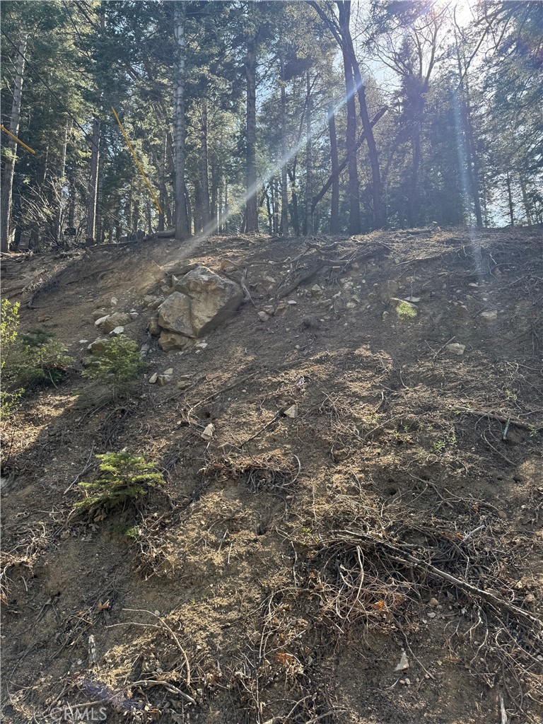 MLS #IG25093880 image #2