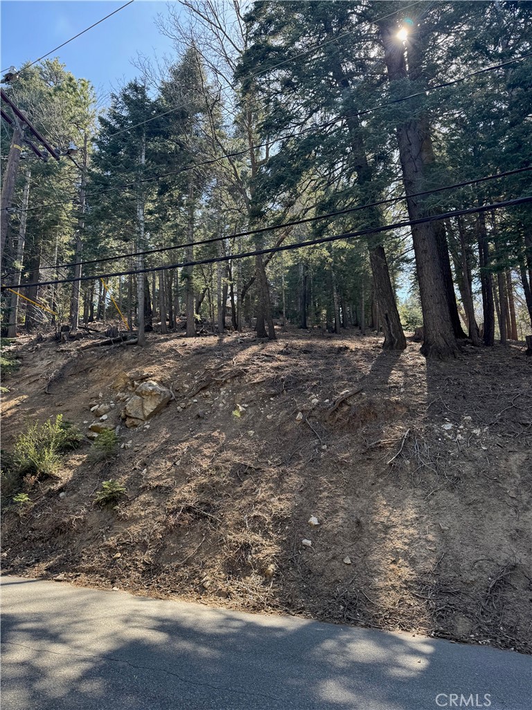 MLS #IG25093880 image #3