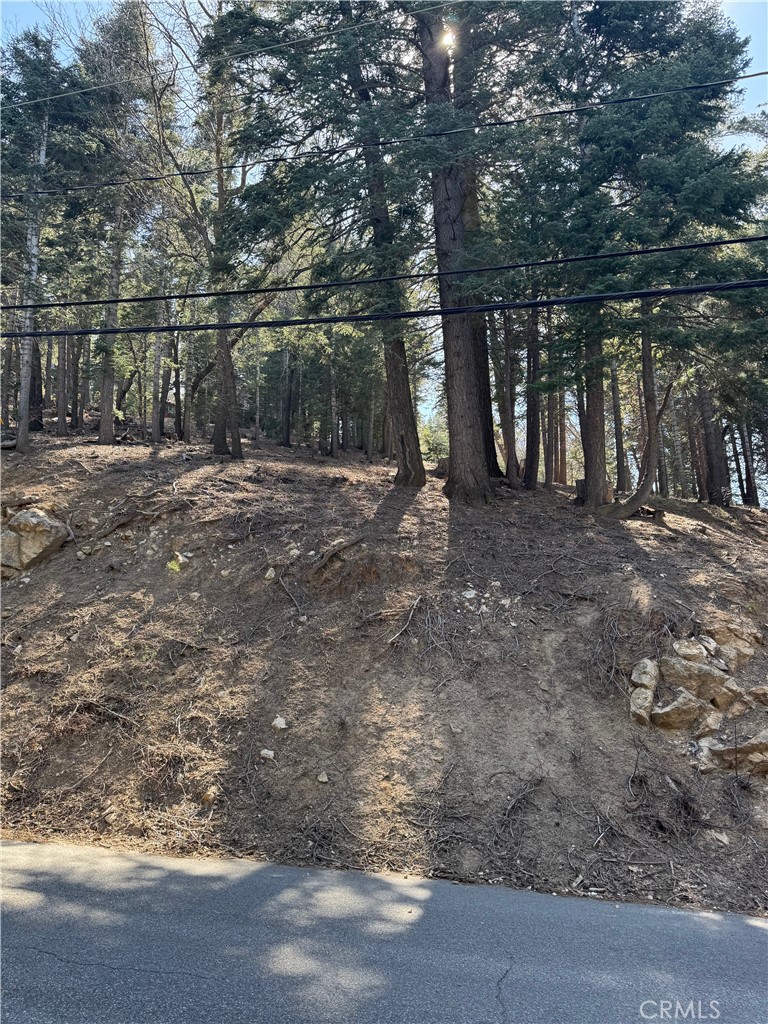 MLS #IG25093880 image #4