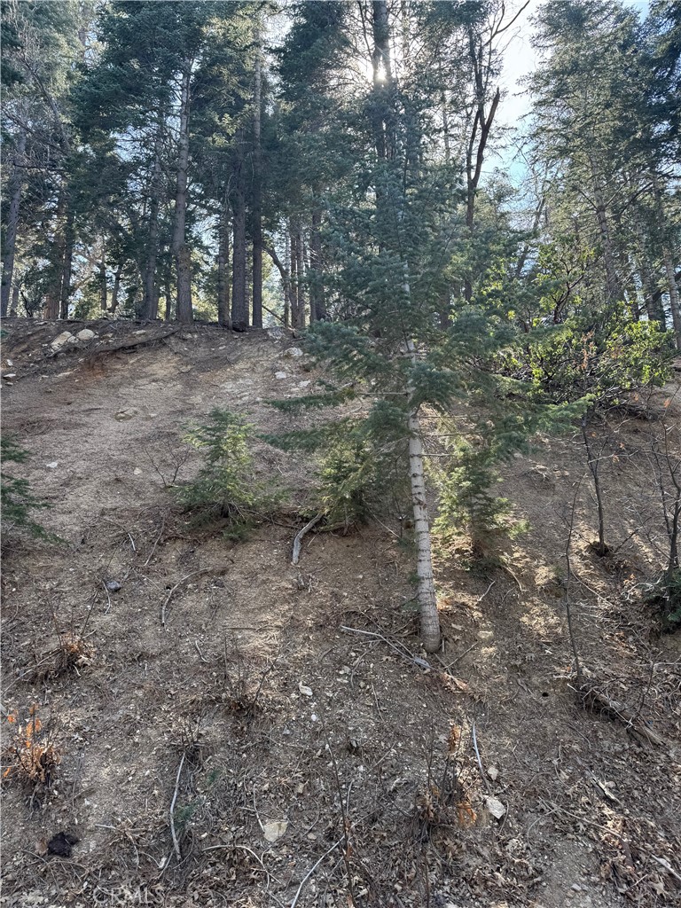 MLS #IG25093880 image #5