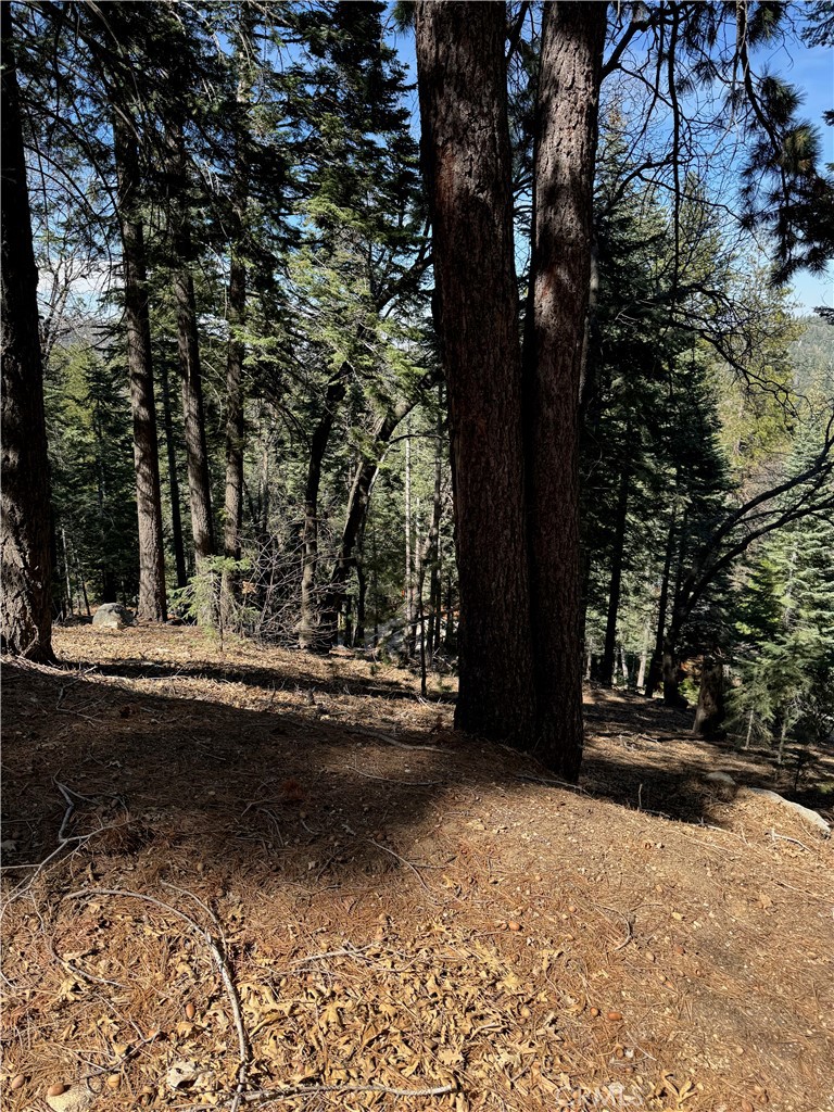 MLS #IG25093880 image #6