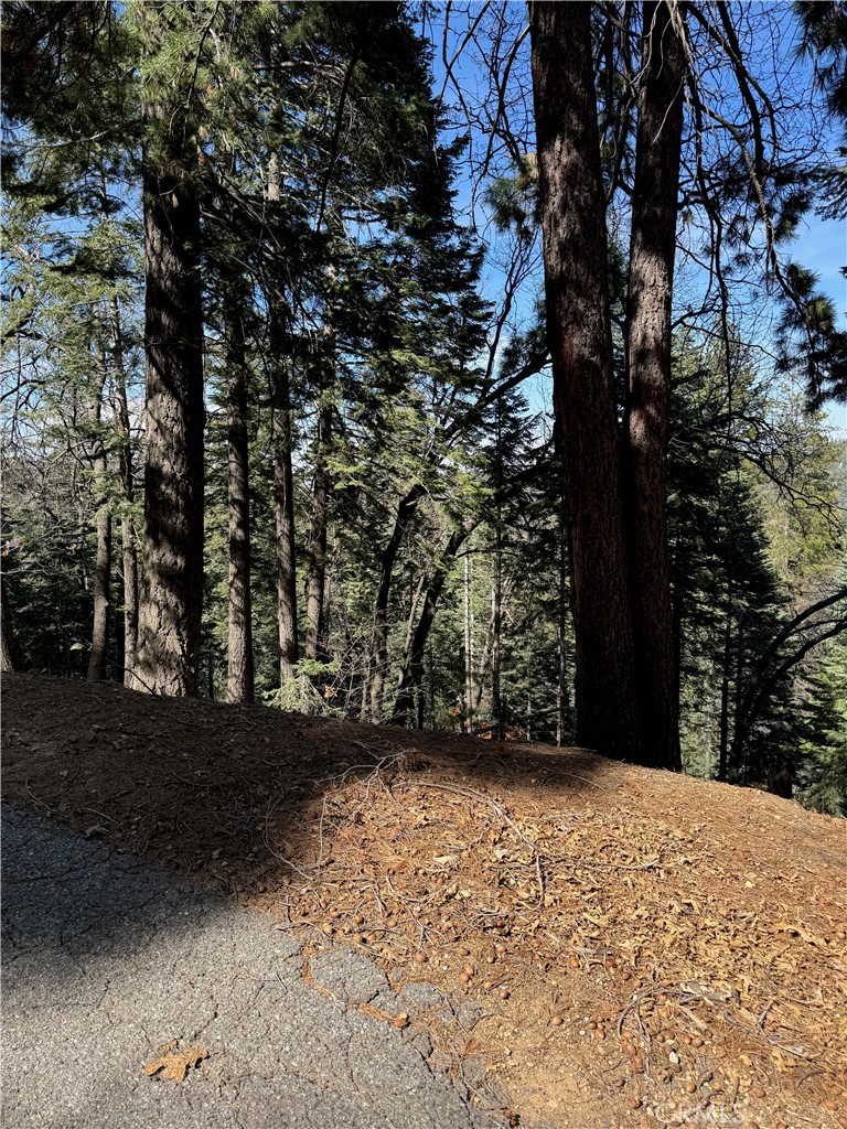 MLS #IG25093880 image #7