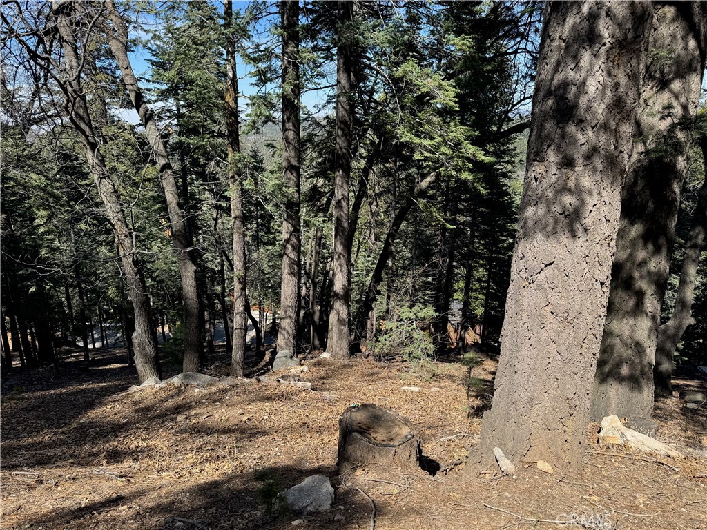 MLS #IG25093880 image #8