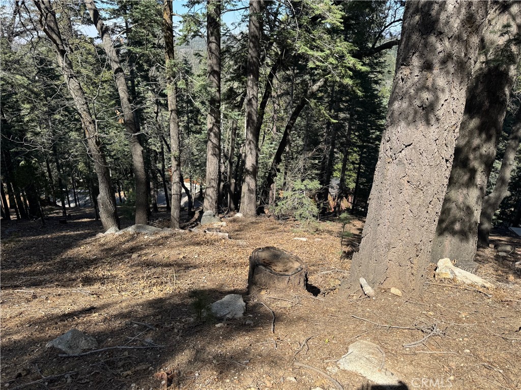 MLS #IG25093880 image #9