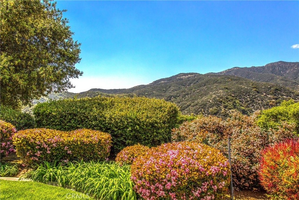 MLS #IG25093883 image #38