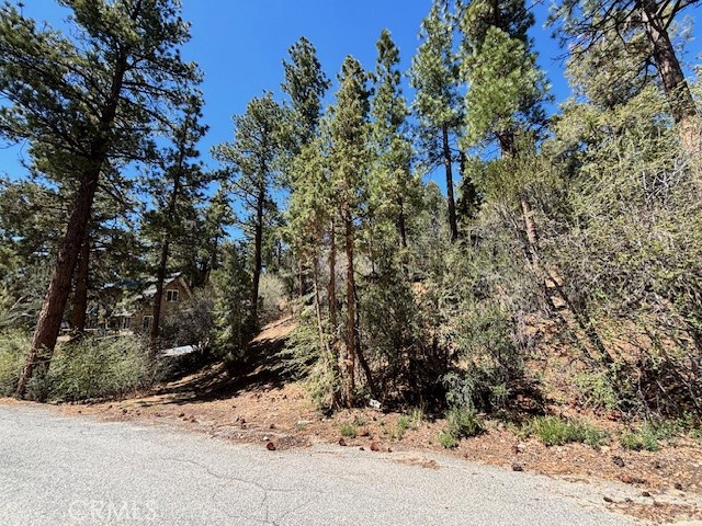 MLS #IG25101928 image #3