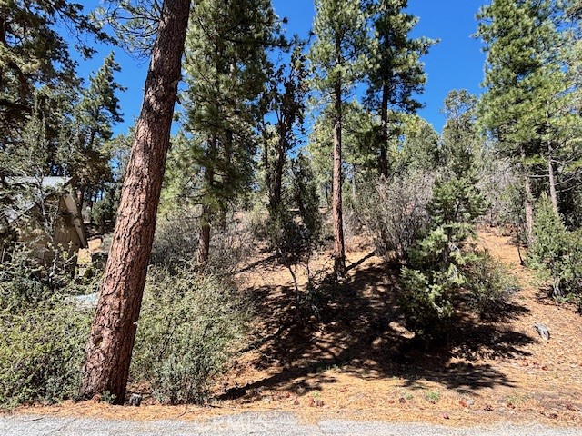 MLS #IG25101928 image #4