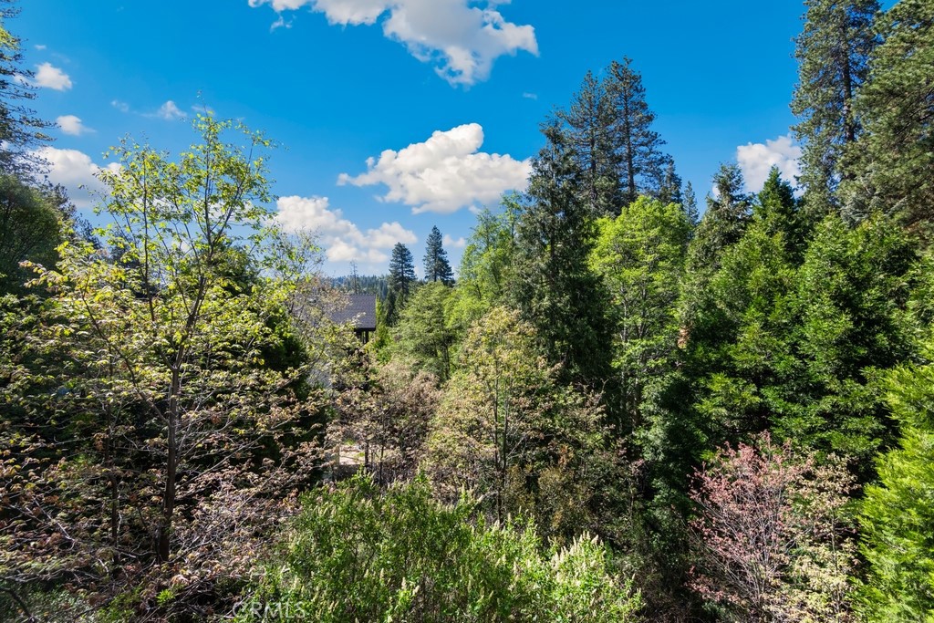 MLS #IG25118107 image #5