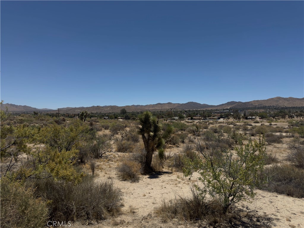 MLS #IG25128300 image #12