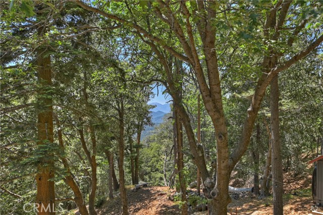 MLS #IG25131295 image #41