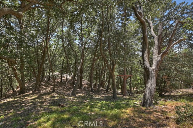 MLS #IG25131295 image #61