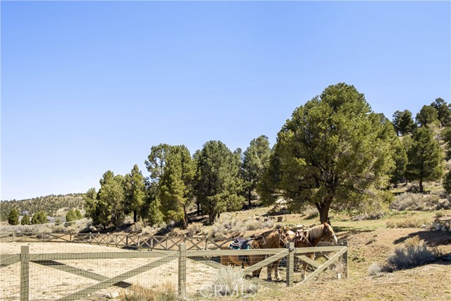 MLS #IG25131855 image #32