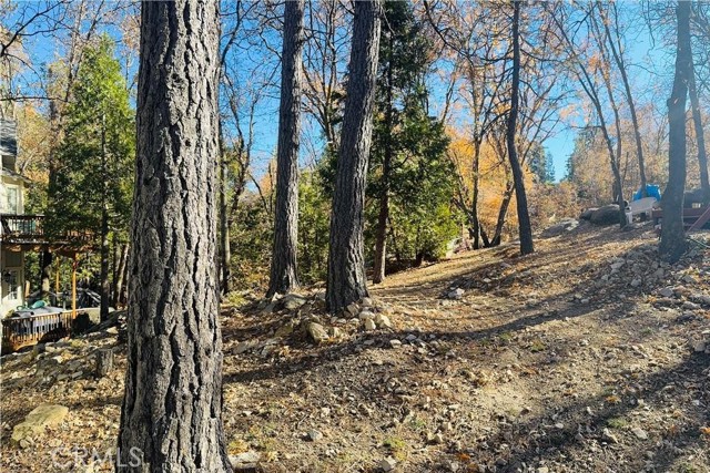 MLS #IG25133087 image #12