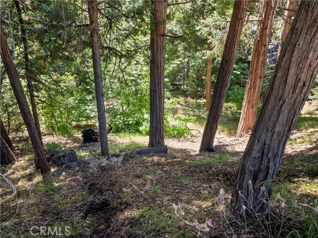 MLS #IG25138231 image #1