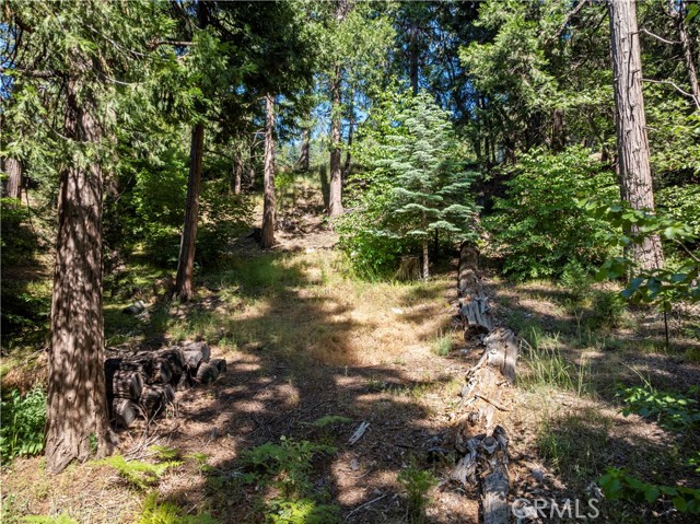 MLS #IG25138231 image #3