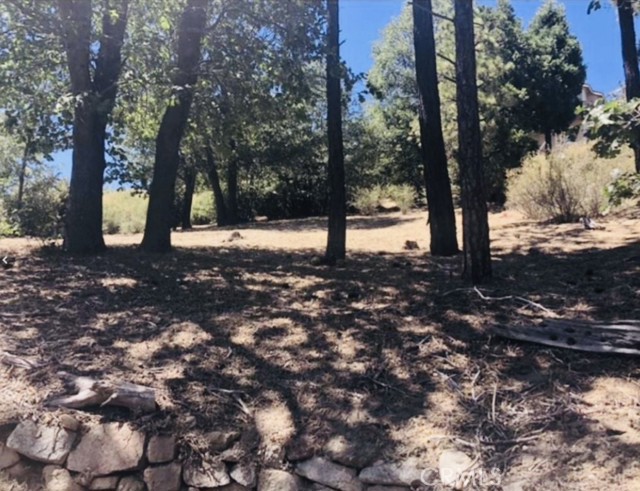 MLS #IG25140526 image #3