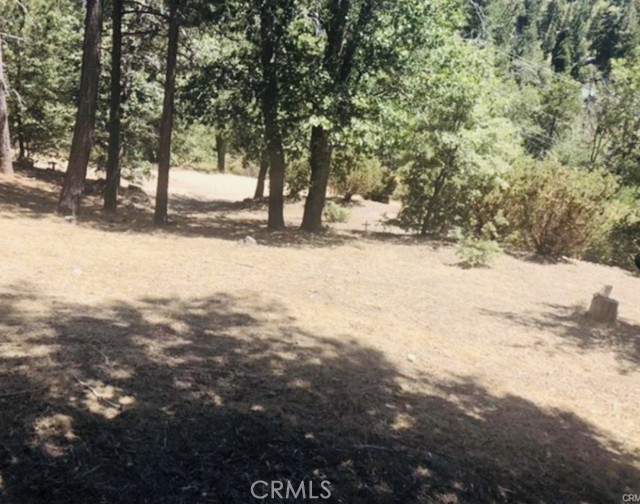 MLS #IG25140526 image #4