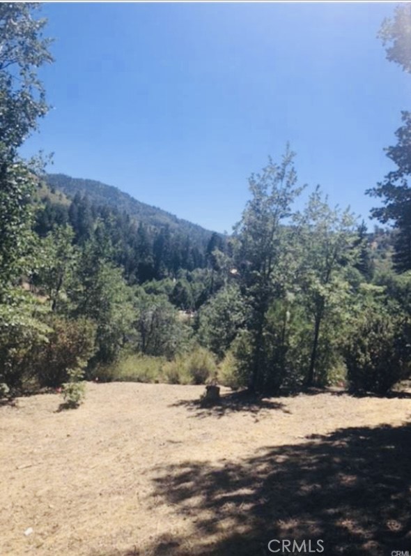 MLS #IG25140526 image #5