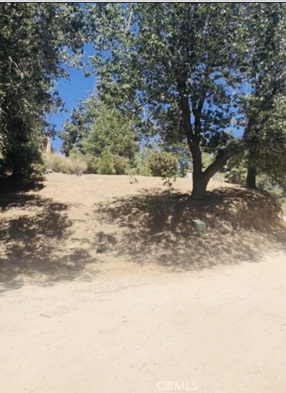 MLS #IG25140526 image #6