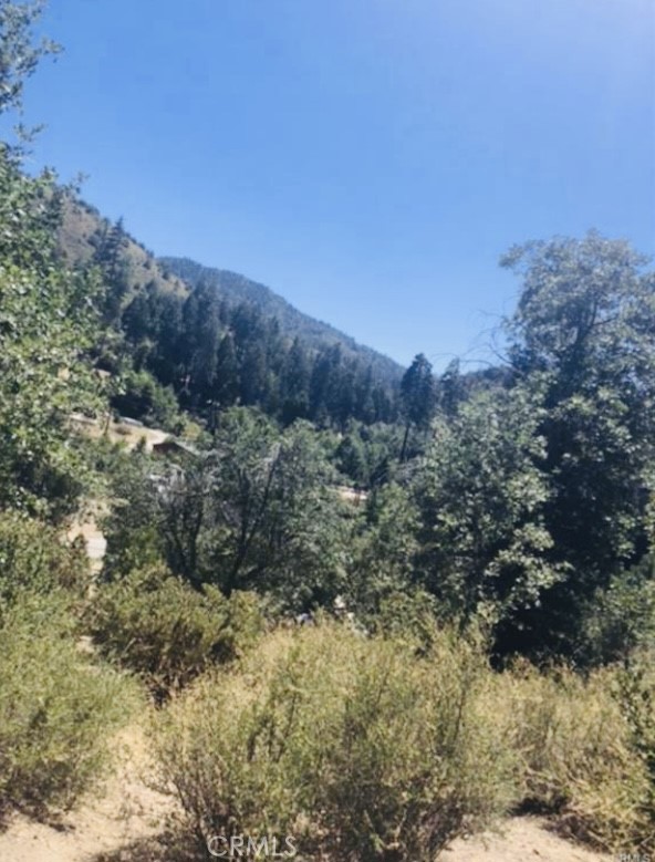 MLS #IG25140526 image #7