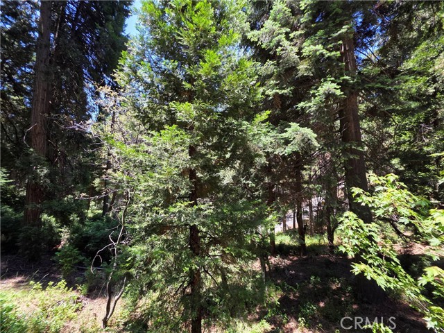 MLS #IG25143839 image #29