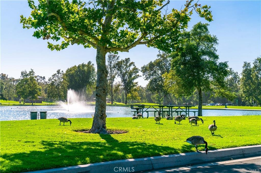 MLS #IG25144521 image #50