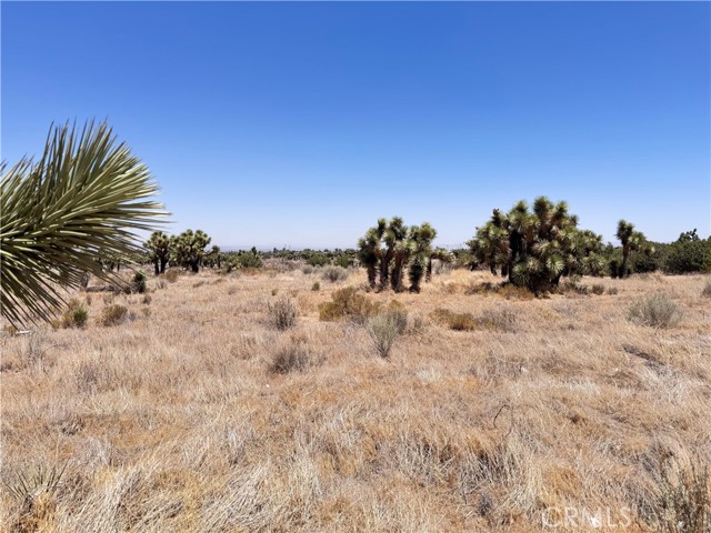 MLS #IG25144859 image #11