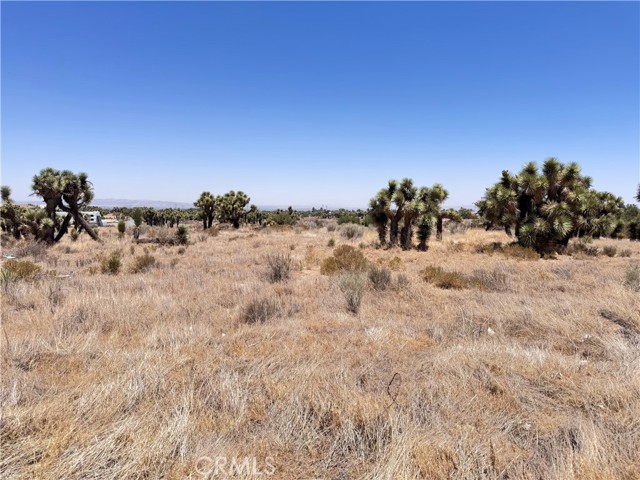 MLS #IG25144859 image #12