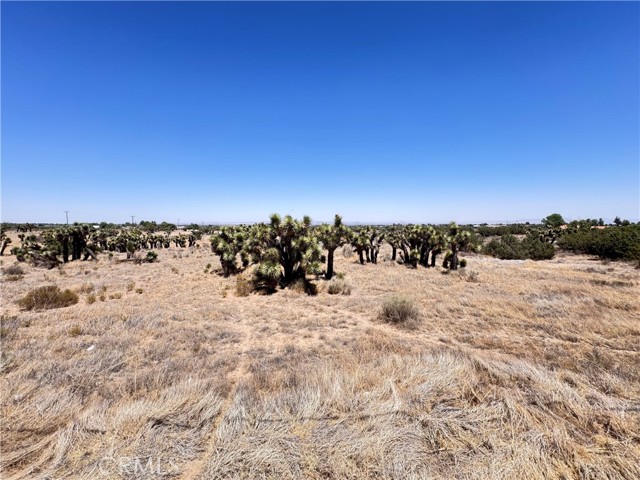 MLS #IG25144859 image #13